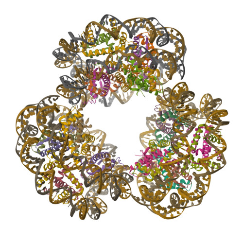 Structure 9W6Q