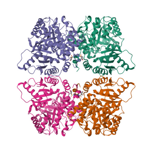 Structure 9W81