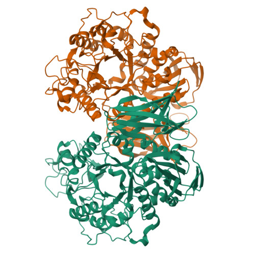 Structure 9W9M