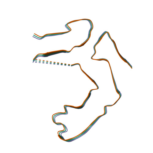 Structure 9W9T