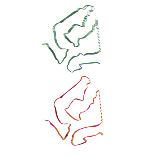 Structure 9W9W