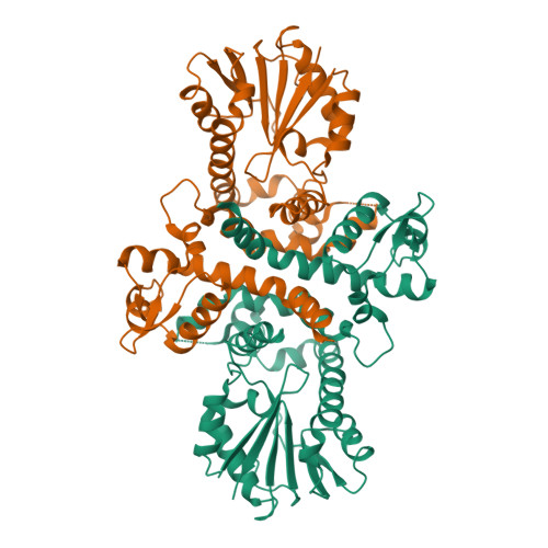 Structure 9WBI