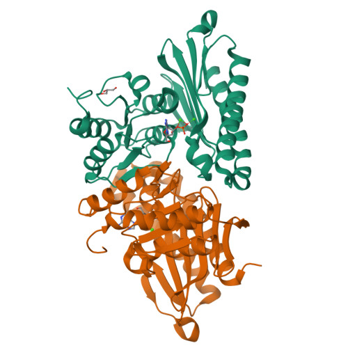 Structure 9WBP