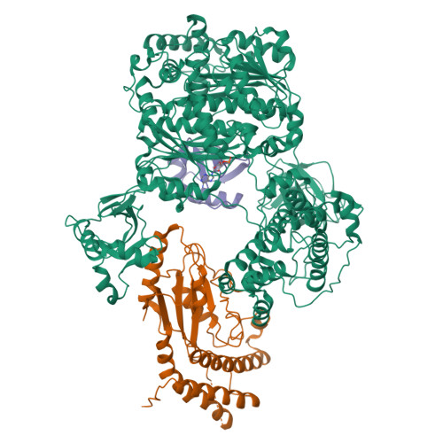Structure 9WD0