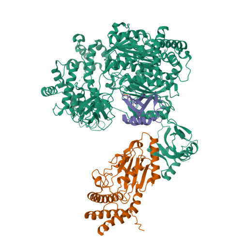 Structure 9WD1