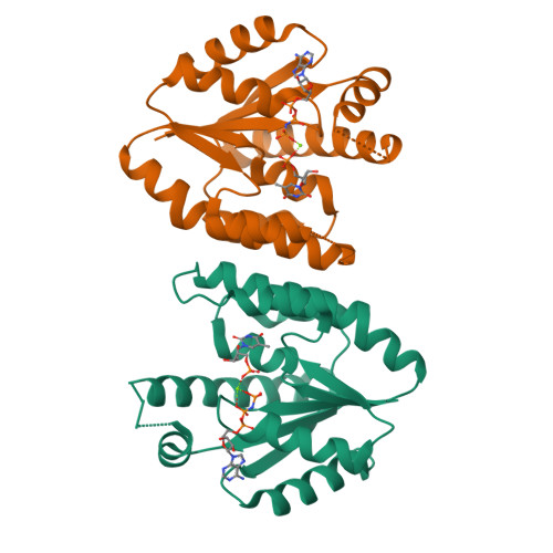 Structure 9WD2