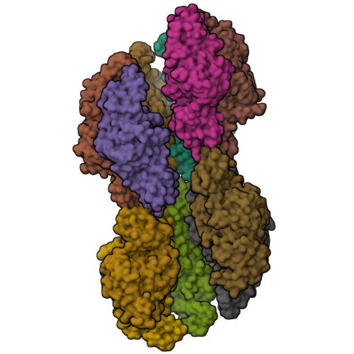 Structure 9WD4