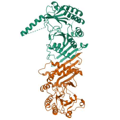 Structure 9WDJ