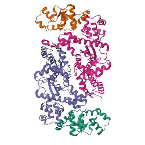 Structure 9WDN