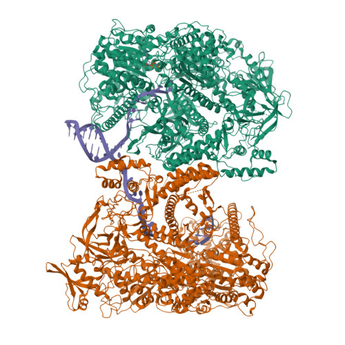 Structure 9WDS