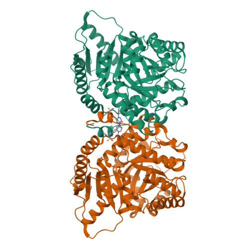 Structure 9WDT
