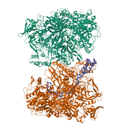 Structure 9WDV