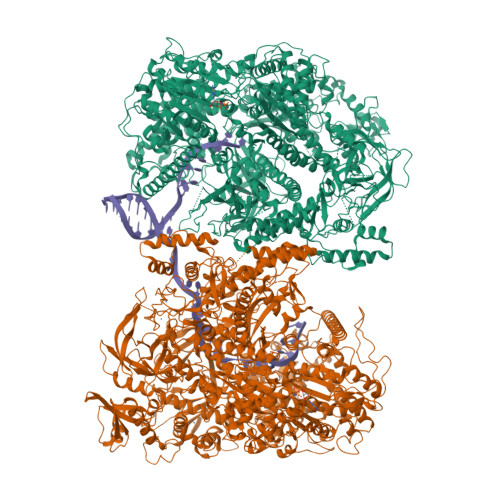 Structure 9WDY