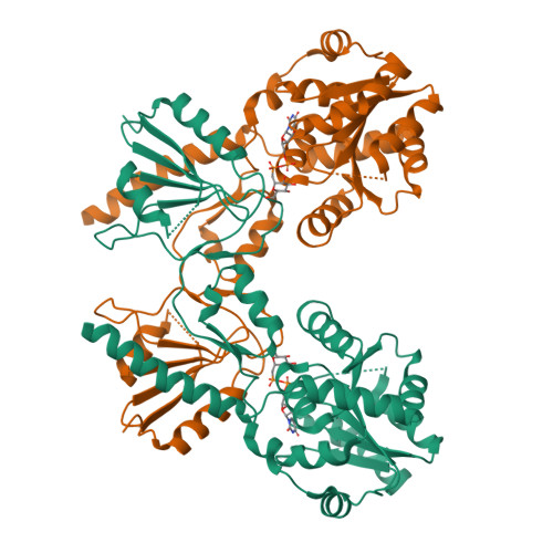 Structure 9WE5