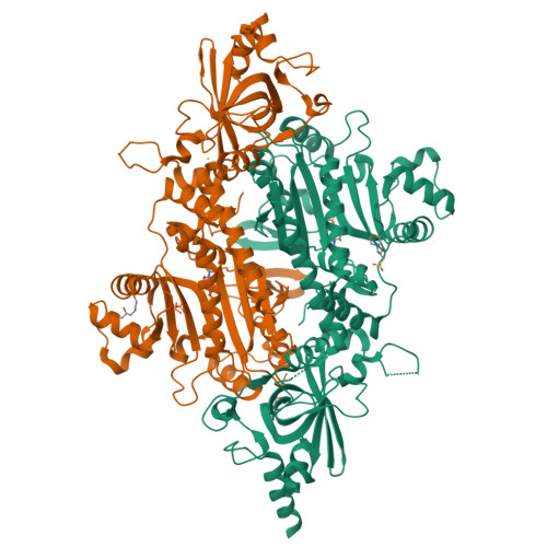 Structure 9WEB