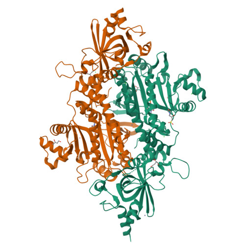 Structure 9WEC