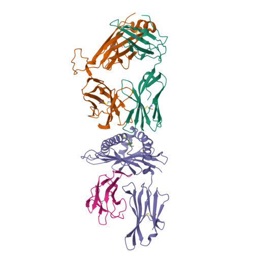 Structure 9WFS