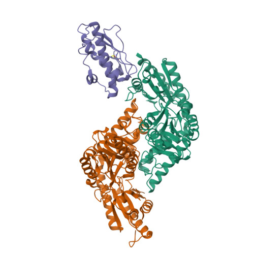 Structure 9WFY