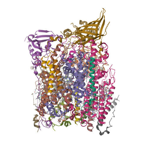Structure 9WFZ