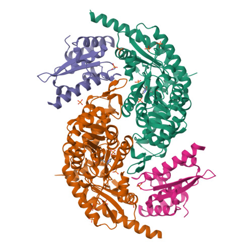 Structure 9WGL