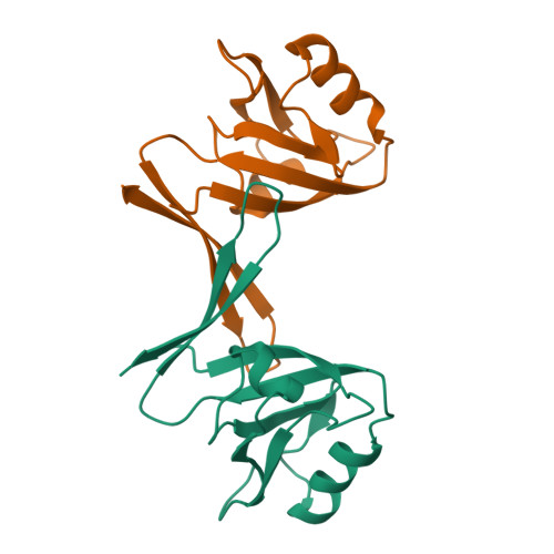 RCSB PDB - 9WHC: Crystal structure of human nNOS PDZ domain in complex ...