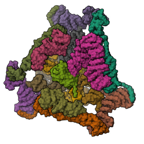 Structure 9WJM