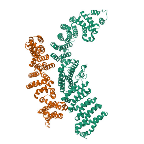 Structure 9WJS