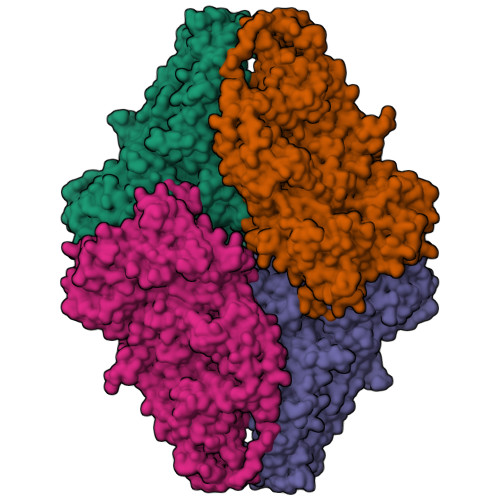 Structure 9WLN