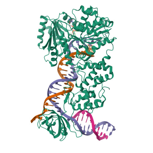 Structure 9WM2