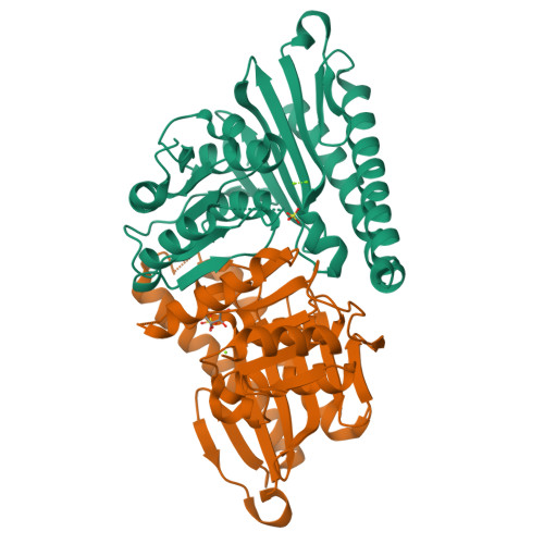 Structure 9WM4