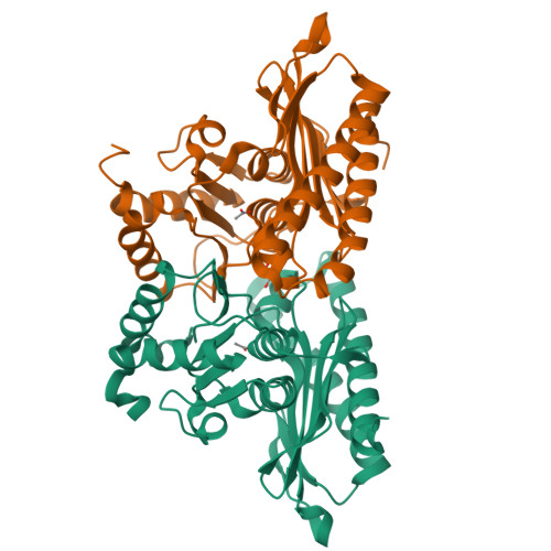 Structure 9WM5