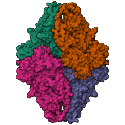 Structure 9WM9