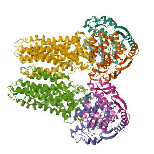 Rscb Frame RCSB PDB - 9WMI: PsdAB dimer(LMNG)