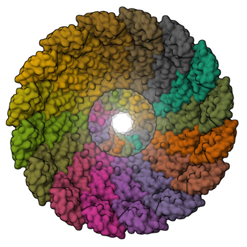 Structure 9WMJ