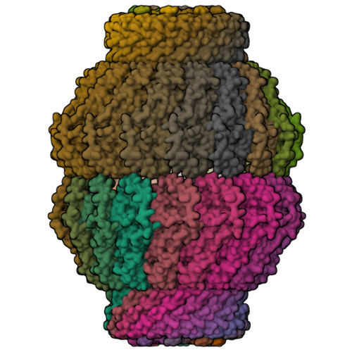 Structure 9WNB