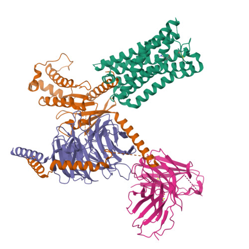 Structure 9WND