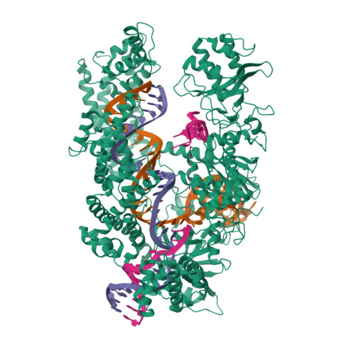 Rcsb RCSB PDB - 9WNE: Cryo-EM structure of the LbCas12a-Lid2-crRNA-DNA complex