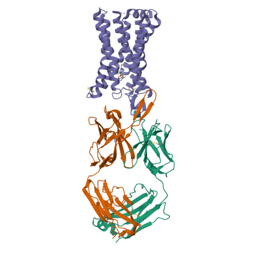Structure 9WNG