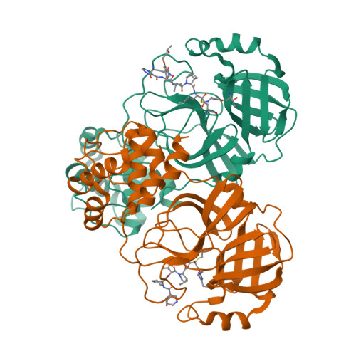 Structure 9WO2