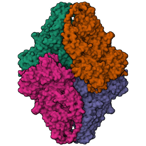 Structure 9WO3