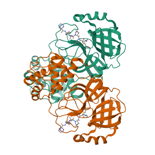 Structure 9WO4