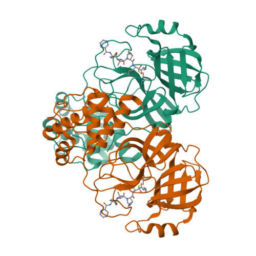 Structure 9WO5