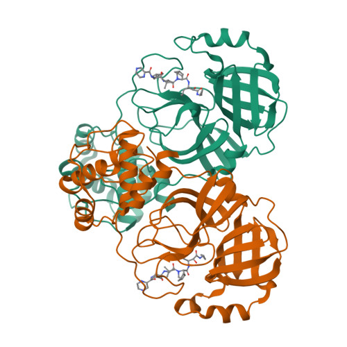 Structure 9WO6
