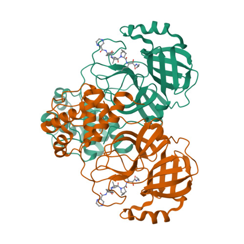 Structure 9WO7