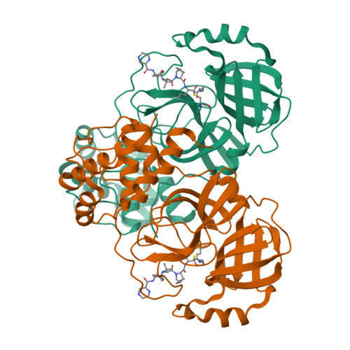 Structure 9WO8