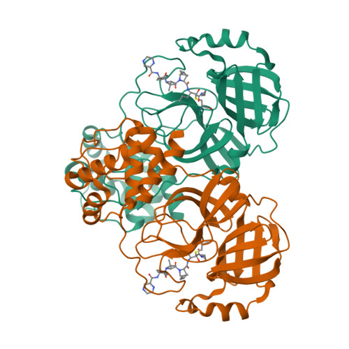 Structure 9WO9