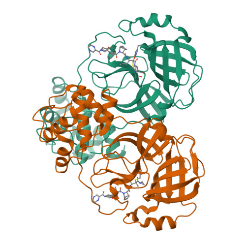 Structure 9WOC