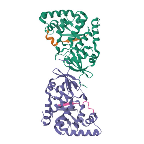 Structure 9WOY