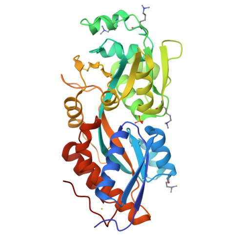 Structure 9WP4