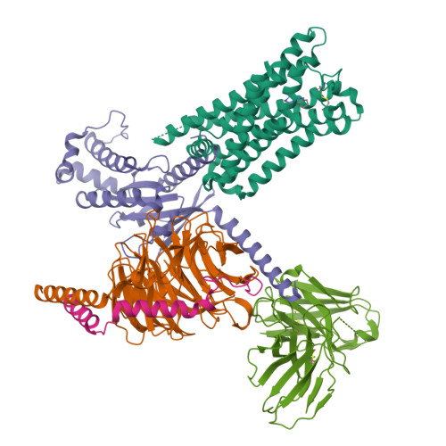 Structure 9WQ5